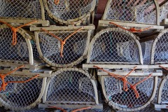 It wasn't lobster season in this part of NS, so the boats and equipment were stowed.