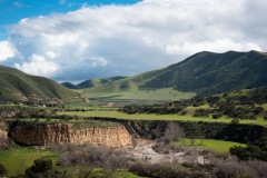 Near Sycamore Flat in the Carmel Valley.