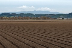 Endless fields of rich soil in the Salina Valley.