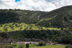 There had been heavy rains a few days before so there was water in the river and hills were lush.