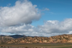 The hills above the Cuyama Valley must hold some treasures.