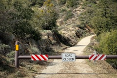 Oops, 18 miles and 4000 feet up Figueroa Mountain Road, and this sign appeared.  Back the way I came.