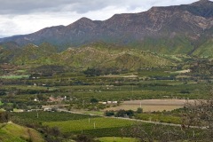 The Ojai Valley, home of citrus, vineyards and a chill attitude.