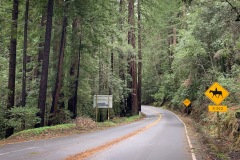 Entering the Big Basin State Park.