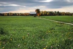 Fall colors near the Canadian border in northern Vermont.