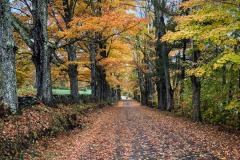 Watch out for wet leaves - compromosed traction!