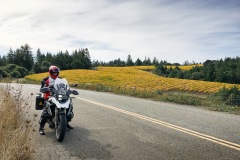 Mile upon mile of vineyards.  Time to check the map.