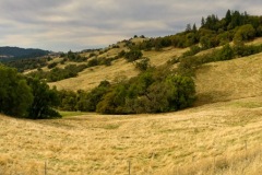 Riding up the valley on the Stewarts Point - Skaggs Spring Road.