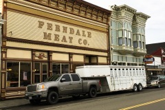 Humboldt County's town of Ferndale is a perfectly preserved specimen California's take on Victorian period architecture.