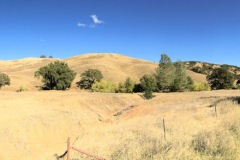 The hills were dry and there had been fires nearby several years before, but 2016 was spared the devastation that occurred a few years later in Napa and Sonoma Counties.