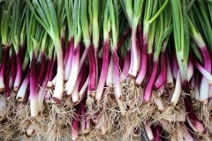 Veggies of all shapes, sizes and flavors at the Embarcadero Farmers Market.