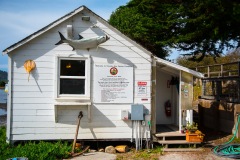 Oysters anybody?  This is one of several tasty stops on Route 1 along Tamales Bay.