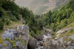 A mountain stream in the early morning near the Parador Refugio.