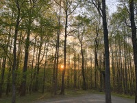 Early morning in the Virgina highlands.