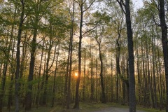 Early morning in the Virgina highlands.