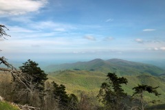 Somewhere near Asheville, NC, still on the BRP.