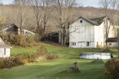 And speaking of bust - this barn has seen better days.